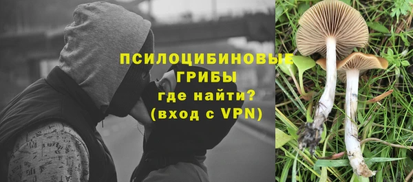 шишки Армянск