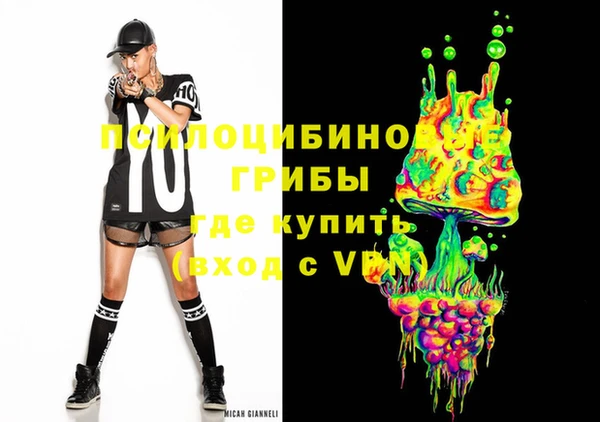 шишки Армянск